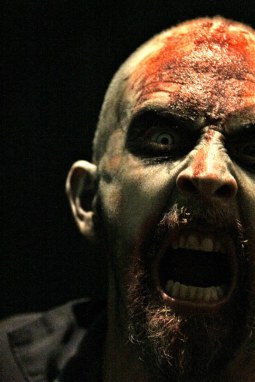 1607035_386482928176879_630313543971803379_n