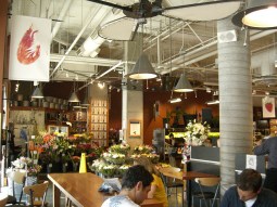 3803412194_b2766ef4d8_z